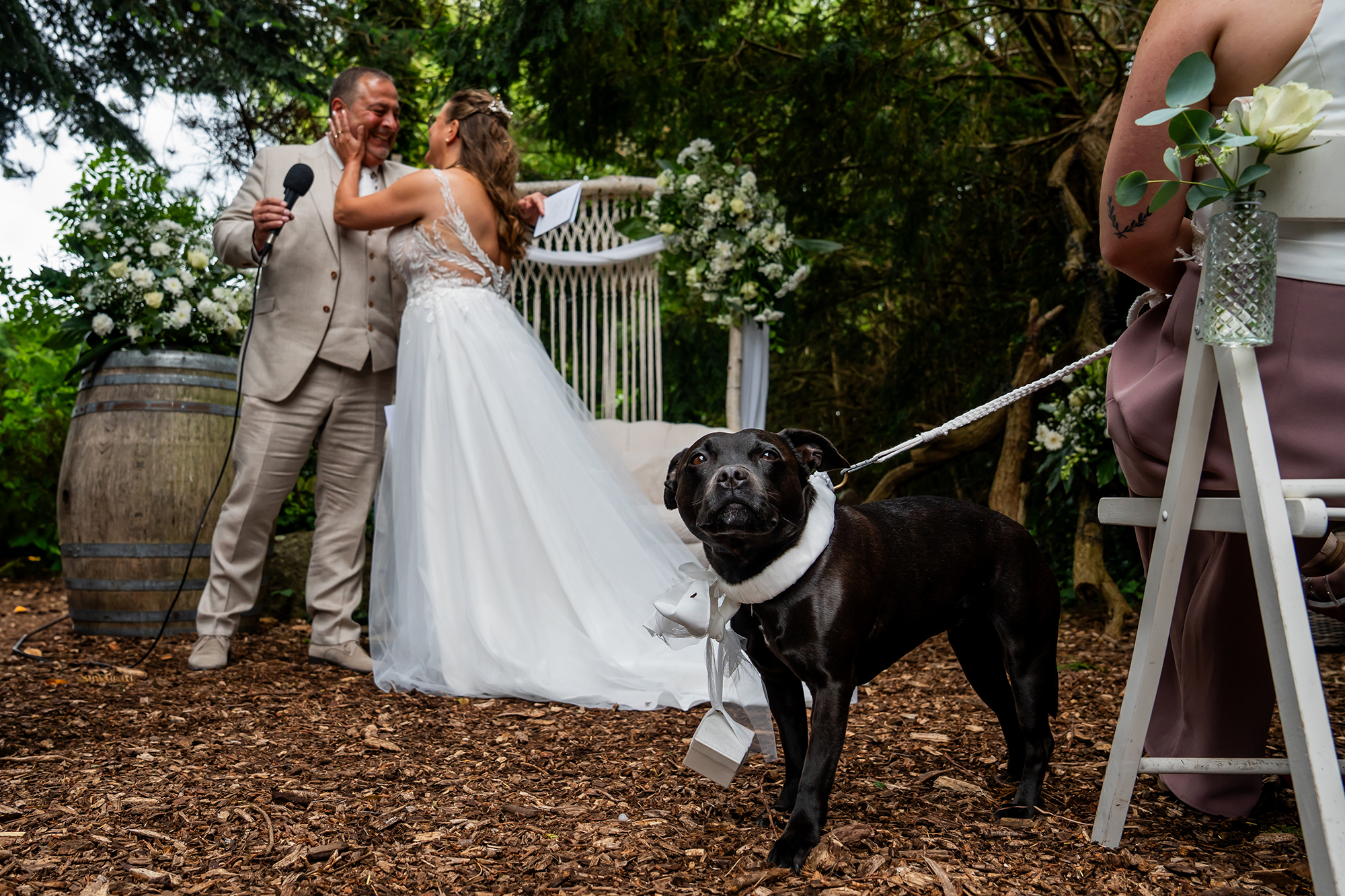 De hond kan niet wachten om de ringen te brengen naar zijn baasjes